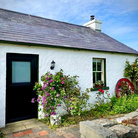 Dunnaglea Cottage, Баллинтой Экстерьер фото