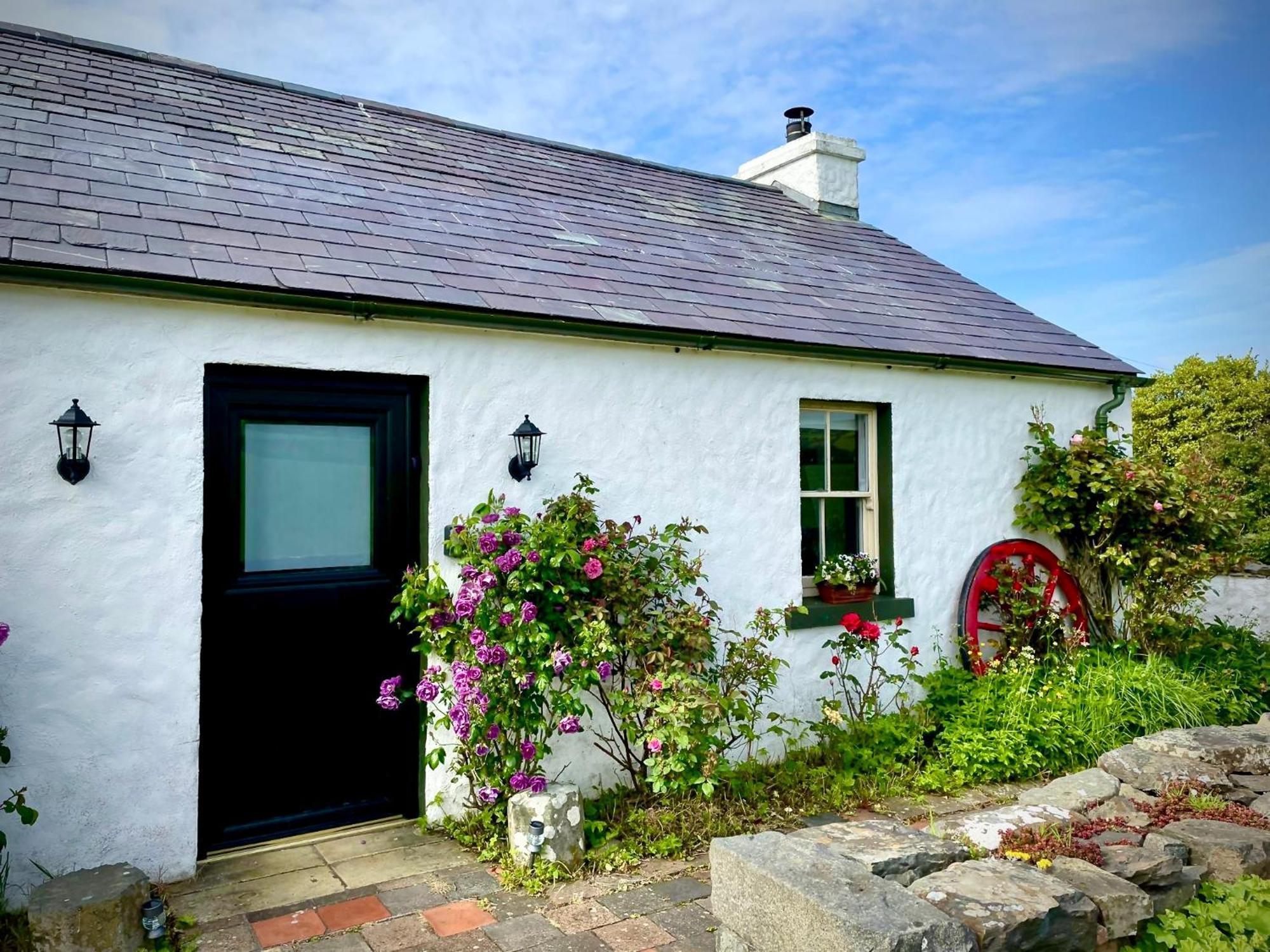 Dunnaglea Cottage, Баллинтой Экстерьер фото